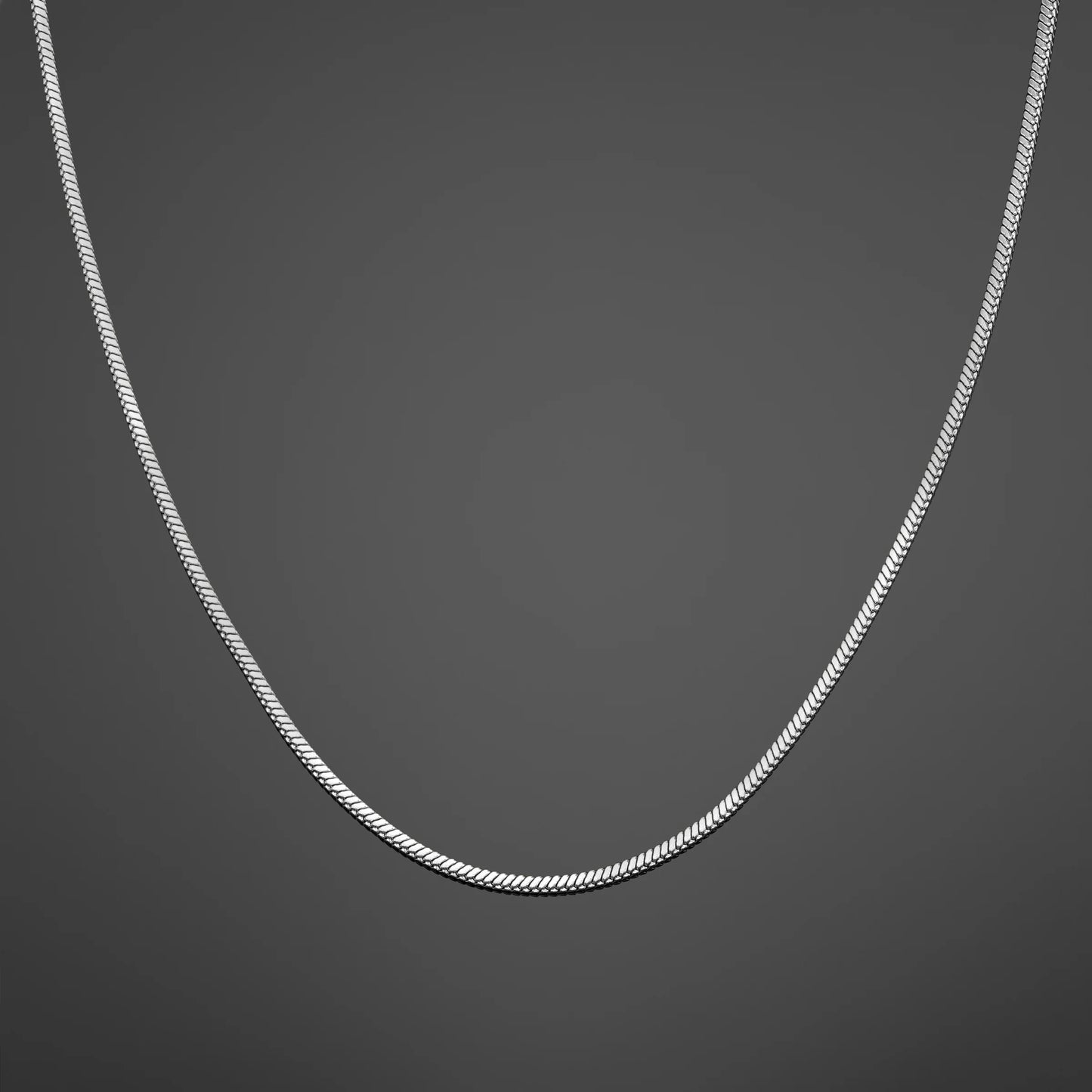 Minimal Snake Chain - Silver RG193